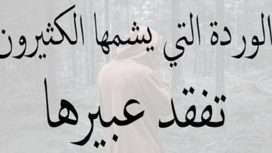 أقوال مدهشة ومؤثرة عن المرأة الرخيصة اكتشف جوانب لا تتوقعها! 4 أقوال عن المرأة الرخيصة