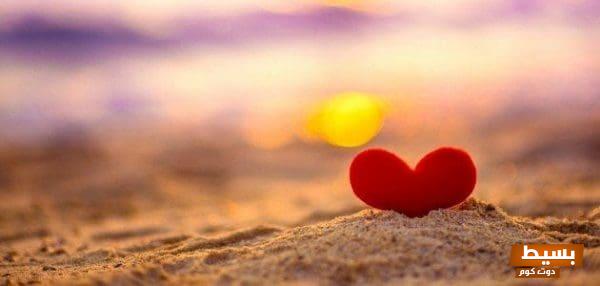 أقوال الفلاسفة في الحب تأملات عميقة تجسد جوهر المشاعر الإنسانية وتجذب الأرواح نحو السعادة الحقيقية 1 أقوال الحكماء عن الحب