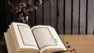 تفسير سورة النصر للأطفال رحلة مشوقة لاستكشاف معاني النصر والأمل! 7 أماكن الأوردة في الجسم