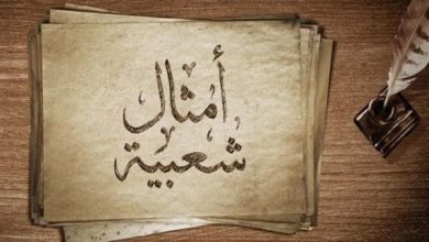 أمثال شعبية رائعة ومعبرة عن أخت الزوج كُنوز حكائية تعكس العلاقات الأسرية 3 أمثال شعبية قديمة