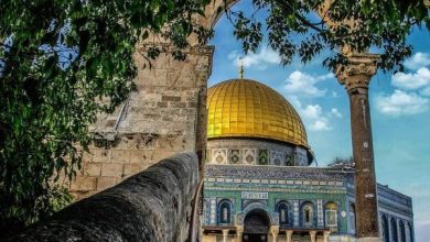 هل انتصار فلسطين من أبرز علامات الساعة المؤكدة؟ 3 اجمل الصور عن فلسطين 11 scaled