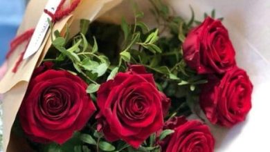 أجمل رد على صباح الخير 2025 كلمات دافئة تضفي السعادة على يومك! 7 اجمل رد على صباح الخير