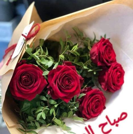 أجمل رد على صباح الخير 2025 كلمات دافئة تضفي السعادة على يومك! 1 اجمل رد على صباح الخير