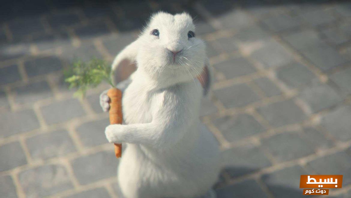 ما هو تفسير رؤية أرنب أبيض في المنام ومعناه بالتفصيل اكتشف أسرار رموزه الغامضة وتأثيره العميق على حياتك! 18 ارنب ابيض في المنام