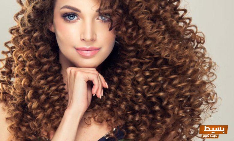 أفضل شامبو للشعر الويفي اكتشف سر الجمال والتألق مع تركيبات مدهشة تناسب كل أنواع الشعر! 5 افضل شامبو للشعر الويفي