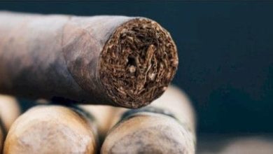 <p><strong>تفسير التمباك في المنام: اكتشف المعاني الخفية والدلالات العميقة وراء رؤية هذه الرمز الغامض!</strong></p> 4 التمباك scaled e1714815976813