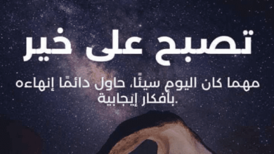 الرد على تصبح على خير للحبيب كلمات مؤثرة تترك أثرًا لا يُنسى قبل النوم! 5 الرد على تصبح على خير للحبيب