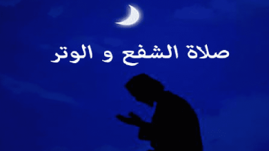 السور التي تقرأ في صلاة الشفع والوتر: اكتشف الأسرار الروحية لتعزيز صلاتك وفوزك بالراحة النفسية! 7 السور التي تقرأ في صلاة الشفع والوتر