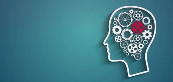 نسبة القبول في تخصص علم النفس 1446: فرصتك لتحقيق حلمك في عالم النفس! 2 القبول في تخصص علم النفس 1444 e1655550480431