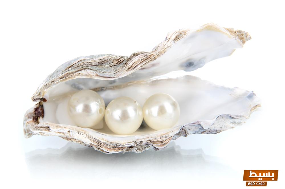 ما هو تفسير رؤية اللؤلؤ في المنام اكتشف الرموز الدفينة والمعاني الروحية وراء هذا الرمز المدهش! 4 اللؤلؤ في المنام