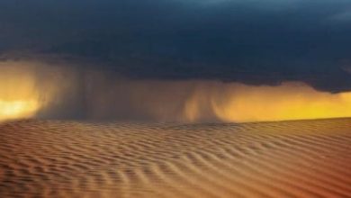<p><strong>تفسير حلم العاصفة الترابية في المنام للعزباء: دلالات غامضة قد تغير مجرى حياتك!</strong></p> 3 بحث عن العواصف الرملية وآثارها البيئية scaled