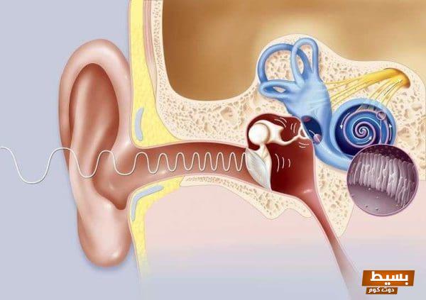 تجربتي المؤلمة والملهمة مع انسداد قناة استاكيوس رحلة نحو الشفاء والتغلب على التحديات الصحية 1 تجربتي مع انسداد قناة استاكيوس 0