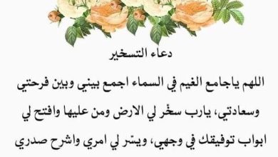 <p><strong>تجربتي الملهمة مع دعاء التسخير: سرّ الانفتاح على البركة والنجاح في حياتي</strong></p> 3 تجربتي مع دعاء التسخير