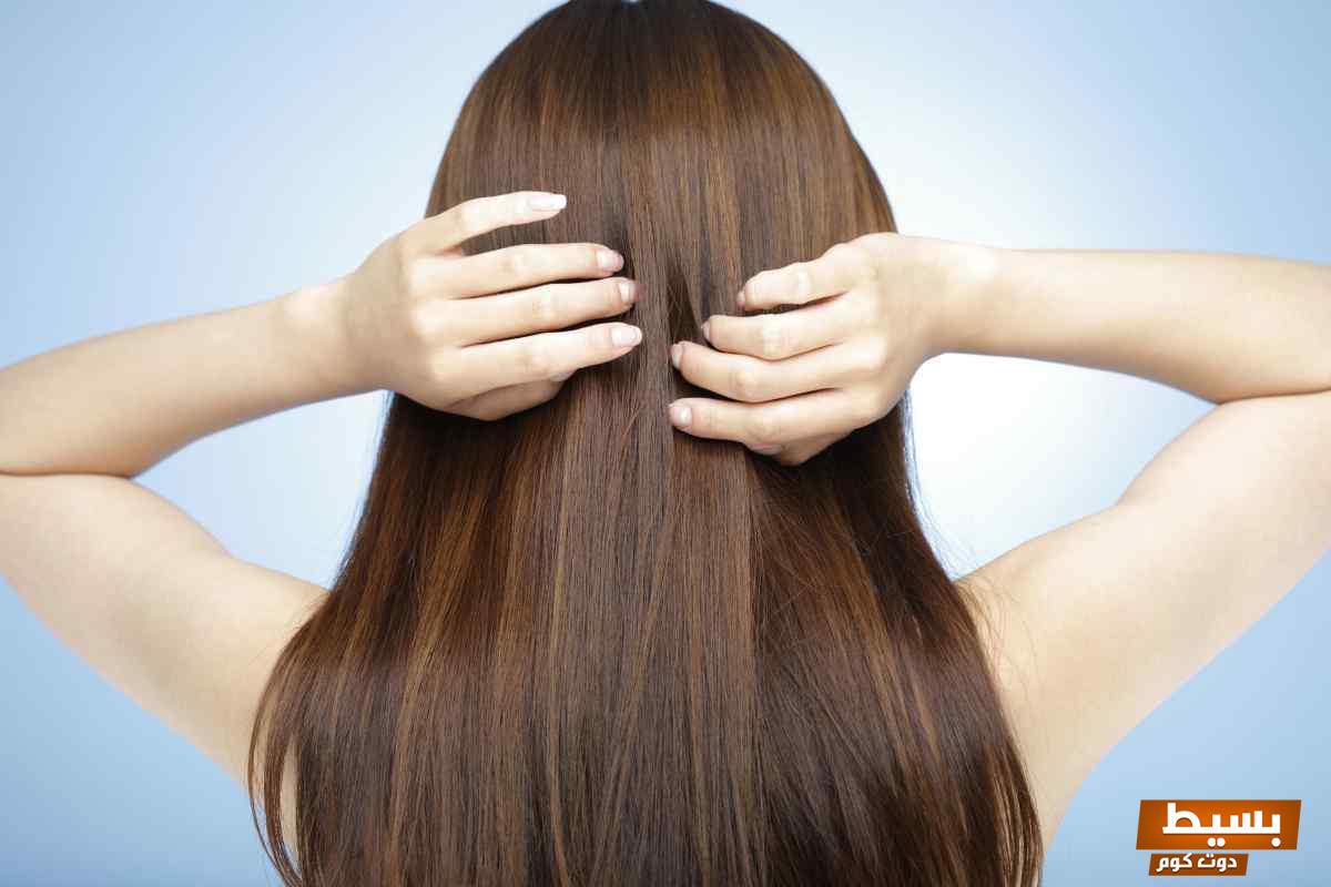 تجربتي الرائعة مع زيت السدر للشعر سر الجمال والتألق الذي لن تصدق نتائجه! 5 تجربتي مع زيت السدر للشعر