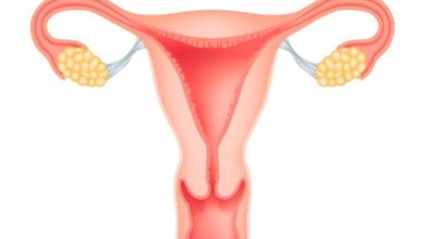علاج سماكة بطانة الرحم بالقرآن استكشف القوة الروحية والشفائية للقرآن في تعزيز صحتك! 3 تجربتي مع سماكة بطانة الرحم3
