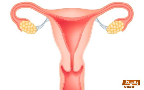 علاج سماكة بطانة الرحم بالقرآن استكشف القوة الروحية والشفائية للقرآن في تعزيز صحتك! 1 تجربتي مع سماكة بطانة الرحم3