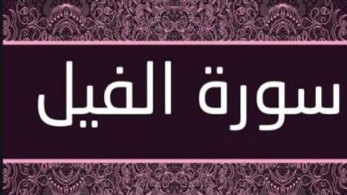 تفسير سورة الفيل للأطفال رحلة ممتعة لفهم معانيها العميقة وقصتها الساحرة! 6 تجربتي مع سورة الفيل