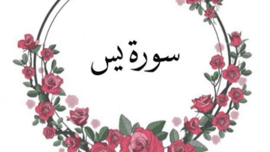 تجربتي الملهمة مع سورة يس 40 مرة: كيف غيّرت حياتي وأعادت لي الأمل والسعادة 4 تجربتي مع سورة يس 40 مرة3