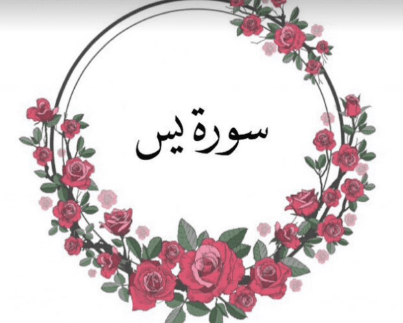 تجربتي الملهمة مع سورة يس 40 مرة: كيف غيّرت حياتي وأعادت لي الأمل والسعادة 1 تجربتي مع سورة يس 40 مرة3