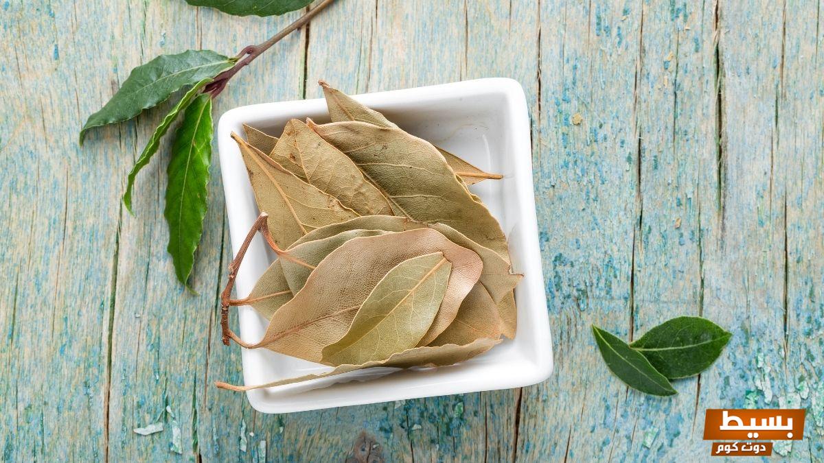 تجربتي المدهشة مع ورق الغار لتطويل الشعر اكتشفوا السر وراء طول شعري وجماله! 6 تجربتي مع ورق الغار لتطويل الشعر