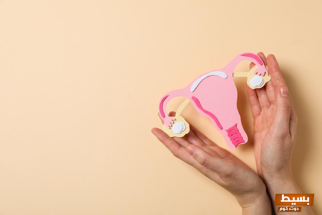 تجميد البيضات الطريقة المثلى للحفاظ على نضارة البيض لفترات طويلة! 6 تجميد البويضات