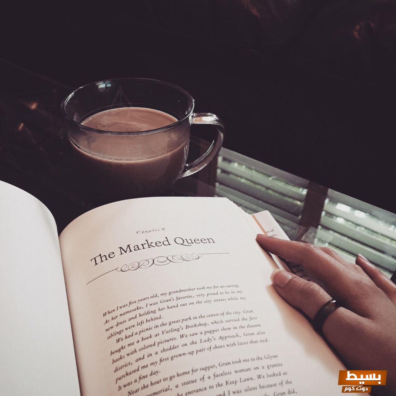 تحميل رواية ظلمات حصونه الجزء الثاني pdf - انغمس في عالم مثير من التشويق والإثارة! 4 تحميل رواية ظلمات حصونه الجزء الثاني pdf