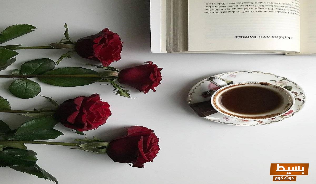 تحميل رواية ليتني أحببتك أكثر الفصل الأول 1 pdf - اكتشف أسرار الحب المفقود وإثارة المشاعر في أحدث إبداعات الأدب! 6 تحميل رواية ليتني احببتك اكثر الفصل الاول 1 pdf 1