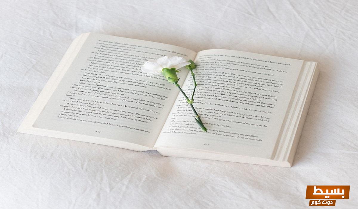 تحميل رواية ملاكي فهد وملاك كاملة بقلم رنا شريف - استمتع بتجربة قراءة مشوقة تأخذك إلى عالم مليء بالعواطف والأحداث المثيرة! 4 تحميل رواية ملاكي فهد وملاك كاملة بقلم رنا شريف