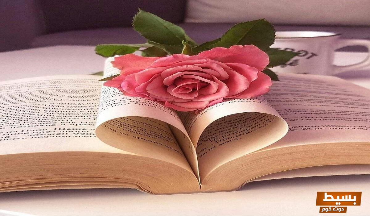 استمتع بتحميل كتاب هدفك 8 لفظي كامل بصيغة PDF مجانًا لتعزيز مهاراتك وتحقيق طموحاتك! 3 تحميل كتاب هدفك 8 لفظي كامل pdf