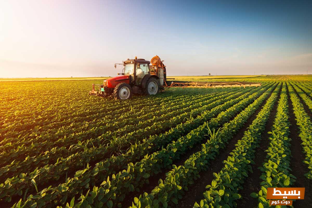 تفاصيل اسواق المزرعة تداول 2025 اكتشف الفرص المذهلة والاتجاهات المستقبلية التي ستغير استراتيجياتك الاستثمارية! 8 تفاصيل اسواق المزرعة تداول