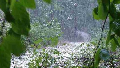 <p><strong>تفسير حلم ارض مبللة بماء المطر للمتزوجة: هل يحمل بشائر الخير والسعادة في حياتك؟</strong></p> 7 تفسير حلم المطر الغزير في الحرم في المنام