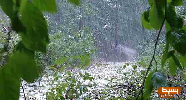 <p><strong>تفسير حلم ارض مبللة بماء المطر للمتزوجة: هل يحمل بشائر الخير والسعادة في حياتك؟</strong></p> 1 تفسير حلم المطر الغزير في الحرم في المنام