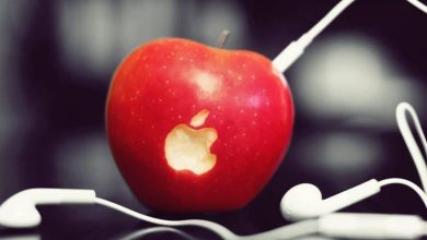 <p><strong>ظهور التفاح في المنام للمتزوجة: رموز ومعاني مثيرة تفتح أبواب الفرح والبشارة</strong></p> 4 تفسير حلم رؤية التفاح في المنام