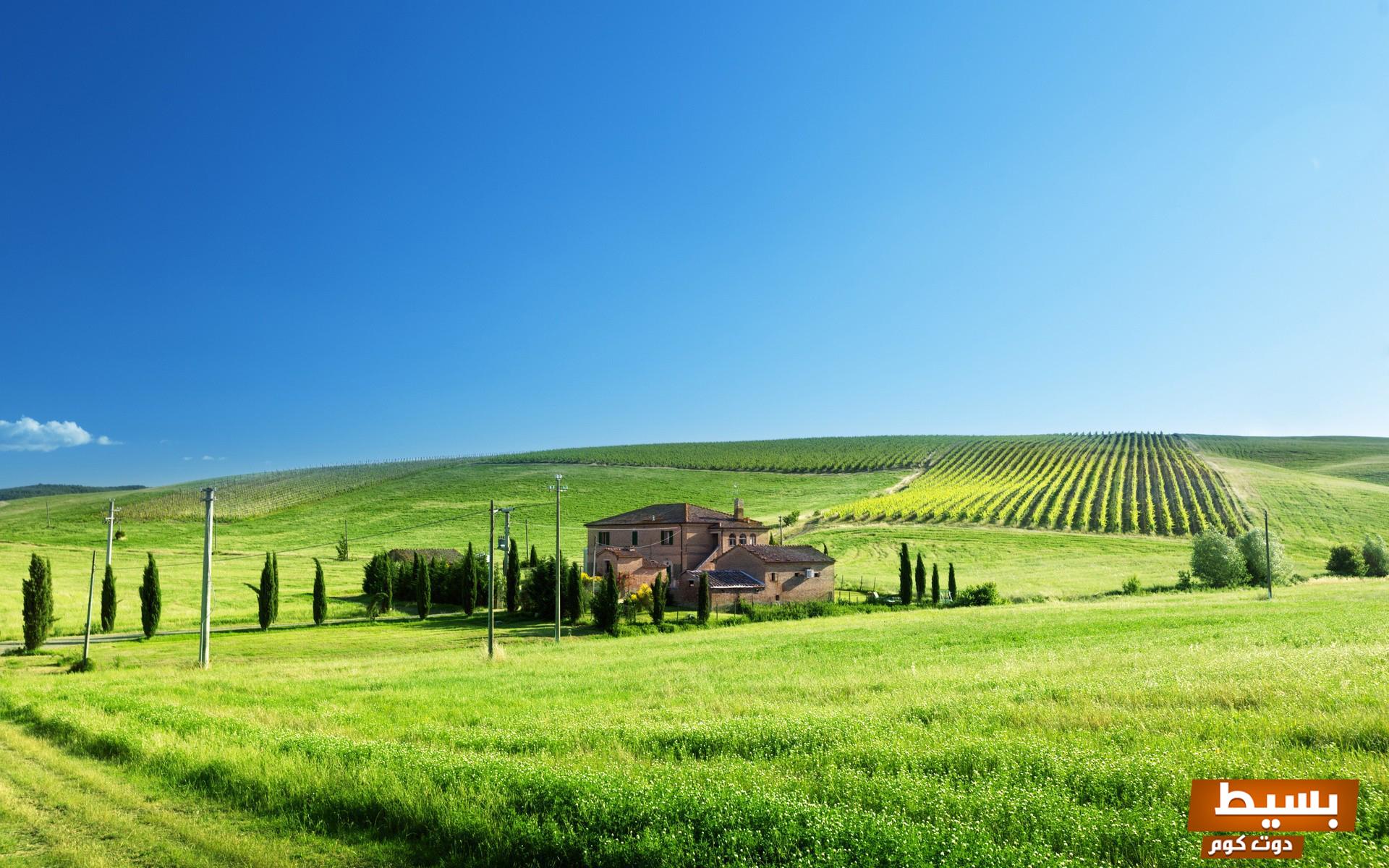 تفسير رؤية الميت في مزرعة في المنام لابن سيرين دلالات غامضة تحمل رسائل عميقة! 20 تفسير رؤية الميت في مزرعة في المنام لابن سيرين 1