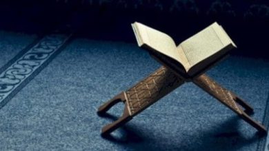 <p><strong>تفسير سورة الإخلاص للشعراوي مكتوبة: فهم عميق لمعاني الإيمان والوحيدة في الإسلام</strong></p> 2 تفسير سورة الإخلاص للشعراوي مكتوبة 1 scaled