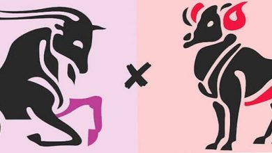 توافق برج الثور مع الجدي في الحب والزواج: استكشاف العلاقة الأمتن في عالم الأبراج! 7 توافق برج الثور مع الجدي في الحب والزواج 1
