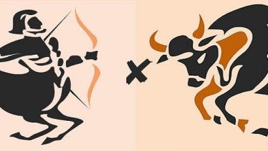 <p><strong>توافق برج القوس مع الثور في الحب والزواج: استكشف سر الانسجام العاطفي بين هذين البرجين!</strong></p> 5 توافق برج القوس مع الثور في الحب والزواج