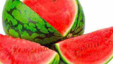 هل حديث الرسول عن البطيخ صحيح؟ اكتشف الحقيقة المدهشة وراء هذه الرواية! 2 حديث الرسول عن البطيخ
