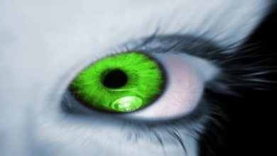 حديث الرسول عن العين والقبر دروس هامة ترشدنا إلى أهمية الوعي الروحي وإعداد النفس للحياة الآخرة 18 حديث الرسول عن العين والقبر6