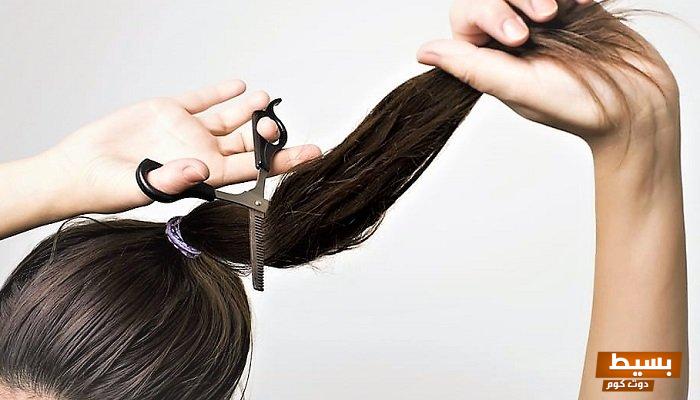 ما تفسير رؤية حلم تقطيع الشعر اكتشف الرسائل الخفية والمعاني العميقة وراء هذه الرؤية الغامضة! 7 حلم تقطيع الشعر