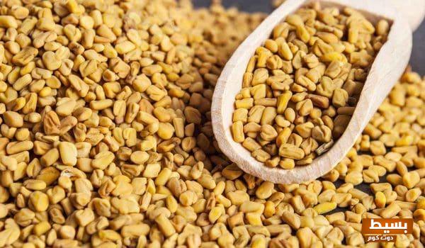 استمتع بخلطة الحلبة الفعّالة لتسمين الجسم في أيام قليلة – سر الجمال والرشاقة! 7 خلطة الحلبة لتسمين الجسم في أيام وطريقة استخدامها