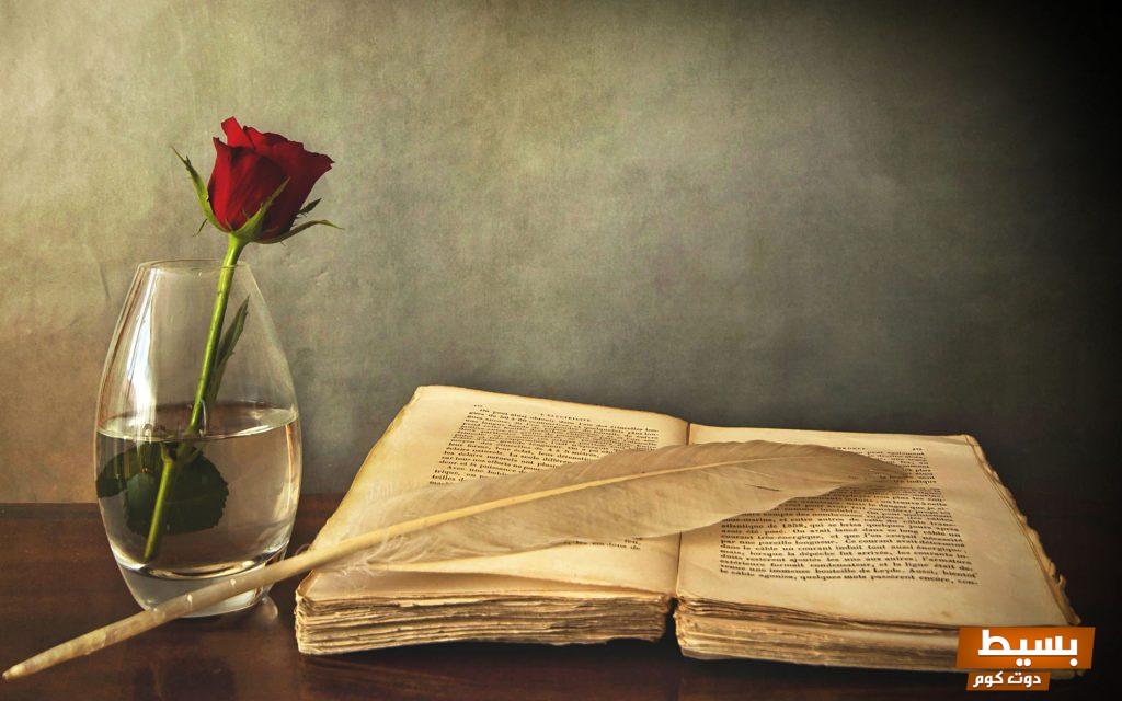 تحميل رواية ظل الحقيقة كاملة pdf - اكتشف عوالم غير مرئية وأسرار مدهشة تُغيِّر مجرى الأحداث! 2 خلفية كتاب مع قلم قديم scaled 1