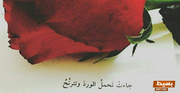 خواطر عن الورد .،أجمل العبارات المكتوبة عن الورد التي ستأسر قلبك وتغمر حواسك بجمال الطبيعة وروح الإلهام. 3 خواطر عن الورد
