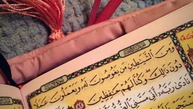 اسم النبات الذي اغتسل به سيدنا أيوب - سر healing الطبيعي الذي لا يُصدق! 25 دعاء سيدنا أيوب 1