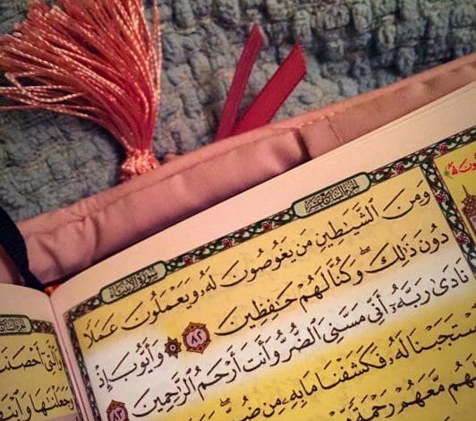 اسم النبات الذي اغتسل به سيدنا أيوب - سر healing الطبيعي الذي لا يُصدق! 1 دعاء سيدنا أيوب 1