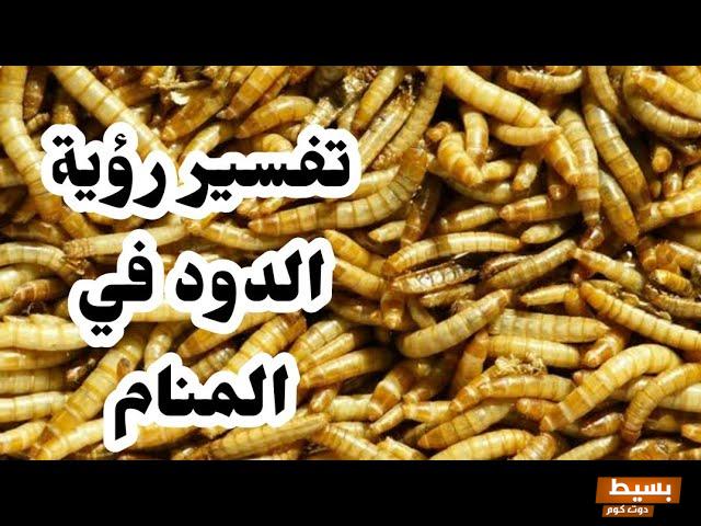 رؤية الدود في المنام للمتزوجة.. اكتشف العوامل الخفية وراء معنى الدود في المنام للمتزوجة! 20 رؤية الدود في المنام