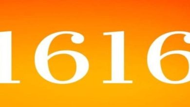 رقم 01616: اكتشف السر وراء هذا الرقم الغامض وما يعنيه بالنسبة لك! 4 رقم 01616 رقم ايش scaled