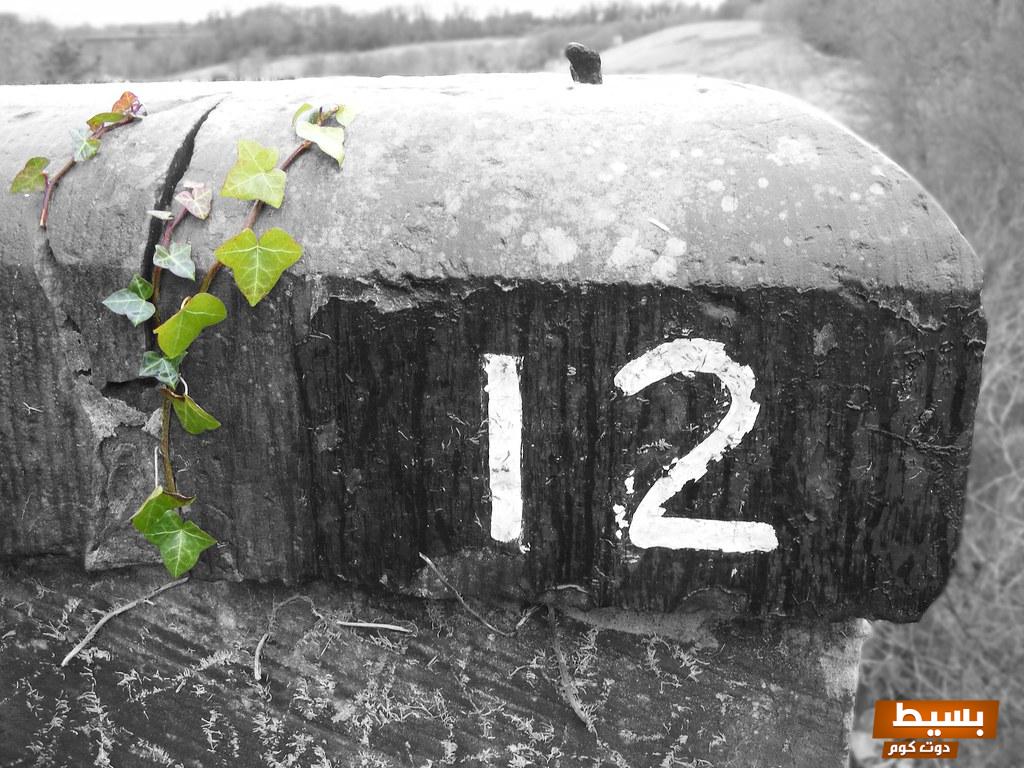 ما هو تفسير رؤية رقم 12 في المنام اكتشف المعاني الخفية والدلالات الروحية وراء هذا الرقم الغامض! 7 رقم 12 في المنام