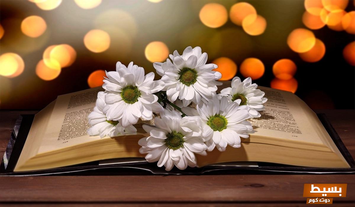 رواية تلك العائلة الغريبة الفصل الثاني والعشرون الكامل - تجربة مشوقة تأخذك إلى عوالم غير مألوفة! PDF 6 رواية تلك العائلة الغريبه الفصل الثاني والعشرون كامل pdf1