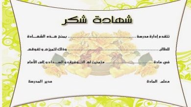 شهادات شكر وتقدير مميزة للطالبات احتفاءً بإبداعاتهن وجهودهن المبذولة! 4 شهادات شكر وتقدير للطالبات